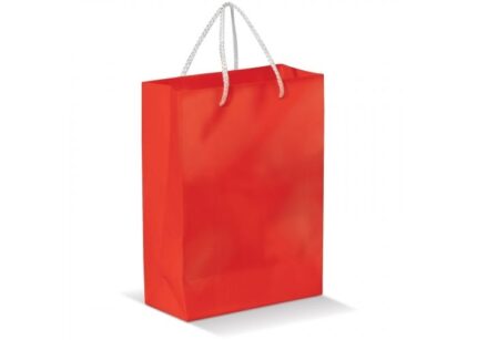 Laminierte Papiertasche, gross