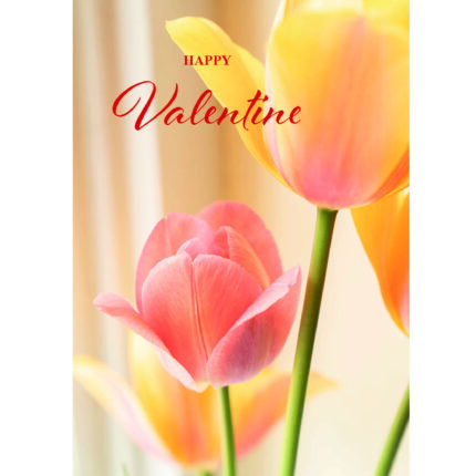 Valentinstag_Tulpen